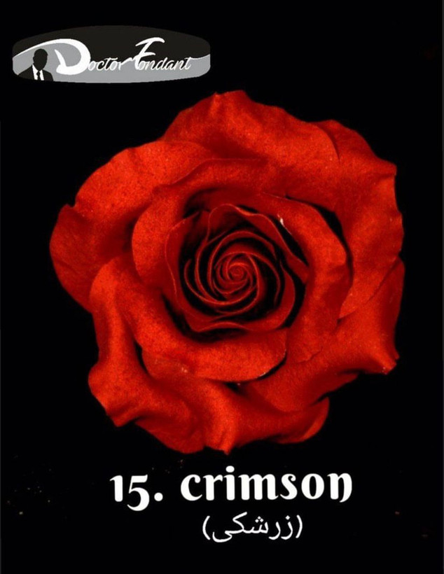 فوندانت زرشکی دکتر فوندانت