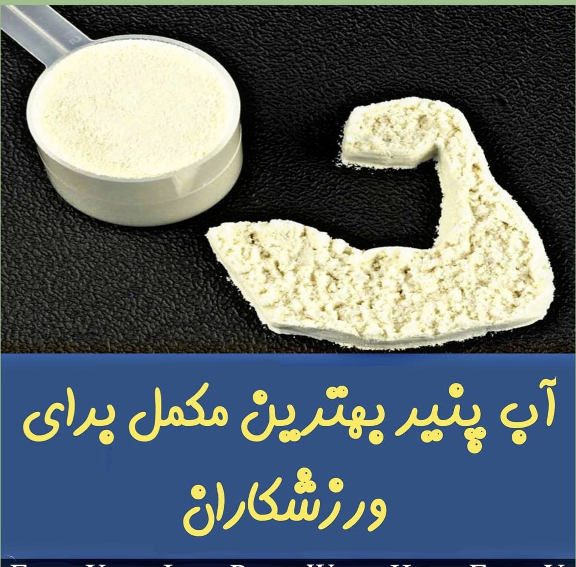 پودر آب پنیر سرشار از پروتئین مناسب برای بدنسازان و آشپزی