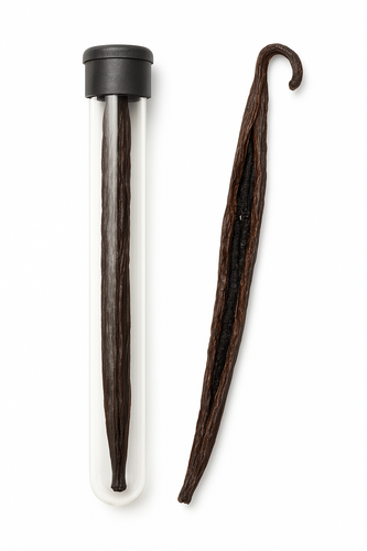 غلاف وانیل اصل